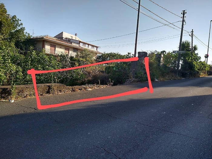 WhatsApp Image 2025-07-20 at 22.10.52