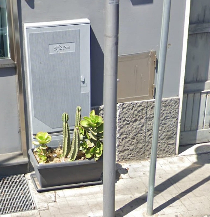 WhatsApp Image 2025-07-27 at 12.18.20