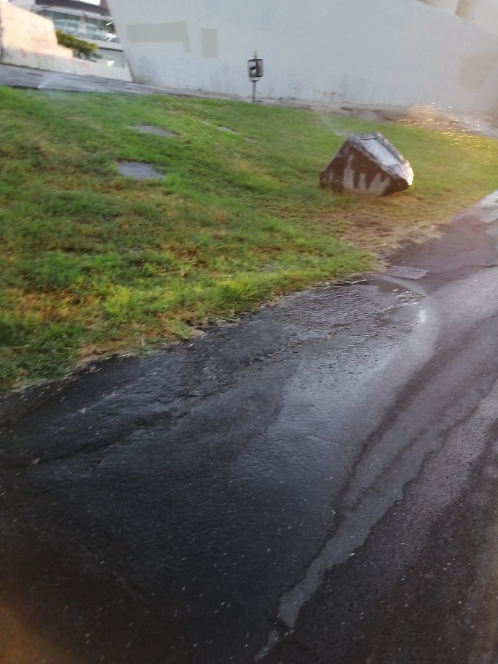 WhatsApp Image 2025-07-31 at 07.54.56