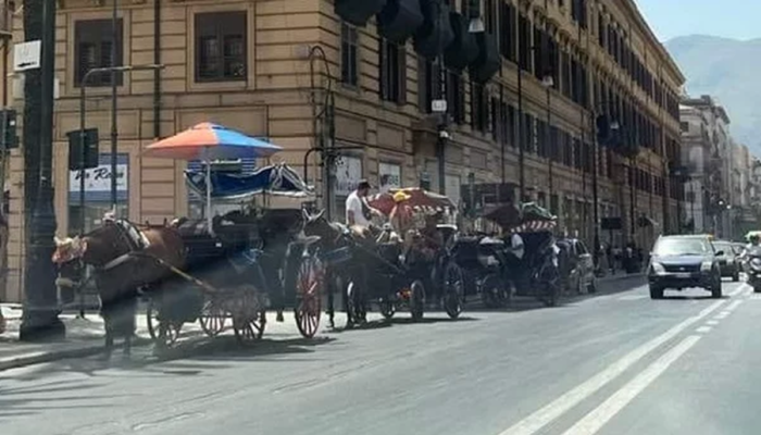 a788e539-8406-4167-8f9a-0df9eb8656e0