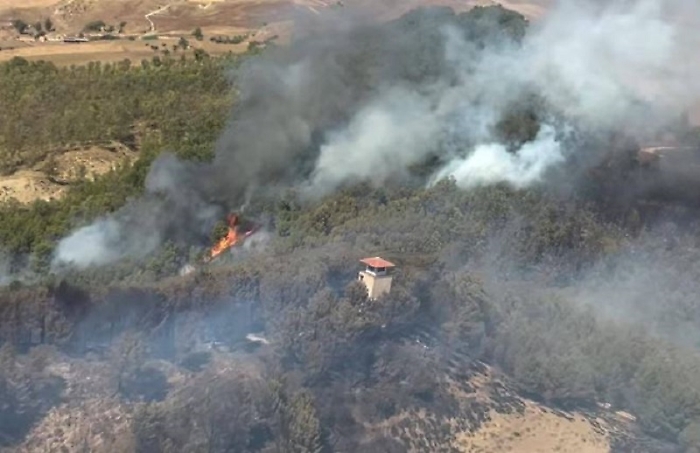 bosco di fortolesi incendio