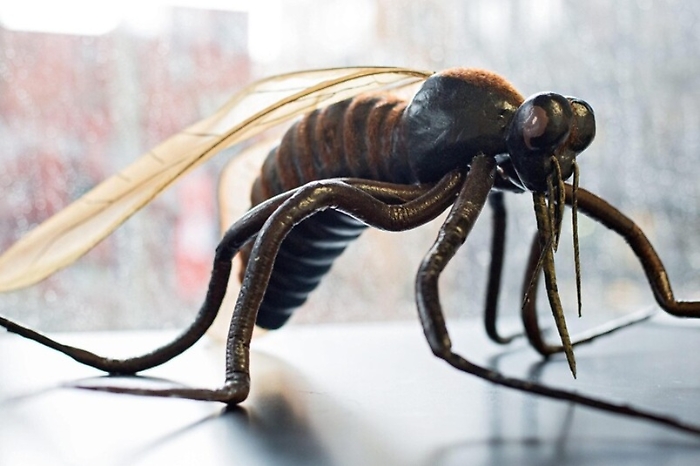 c65c5e48e43229bf852124e20bb91f45