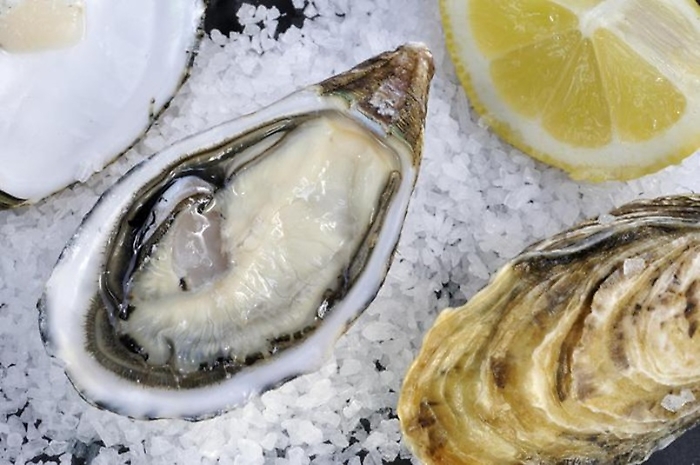 Ostriche Tortol&igrave;