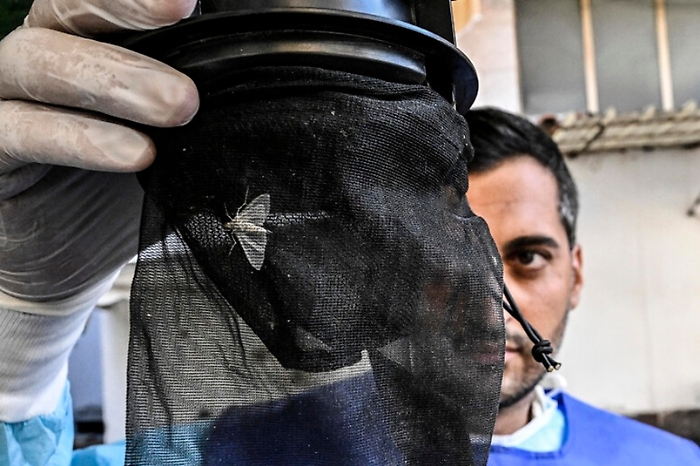 e5649ce5b78df06a863cf26e142f9954