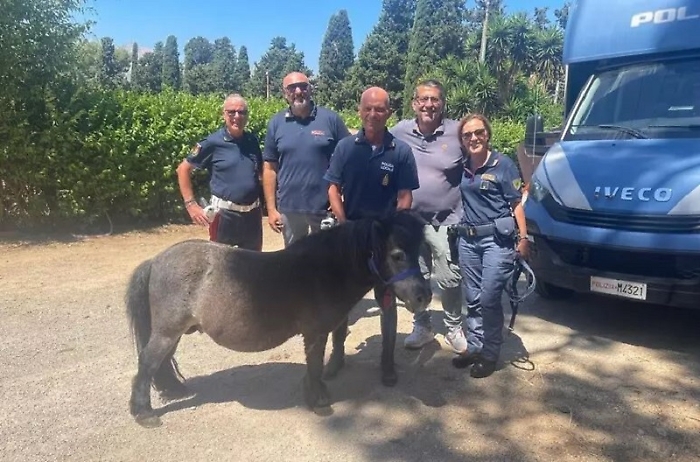 pony toretto_corse clandestine_polizia a cavallo