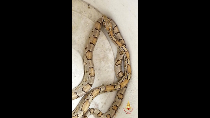 1754068856_0e5002b8eb0e10de8b43