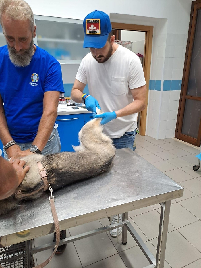 1755346201_46f45d49efbf07e5c966