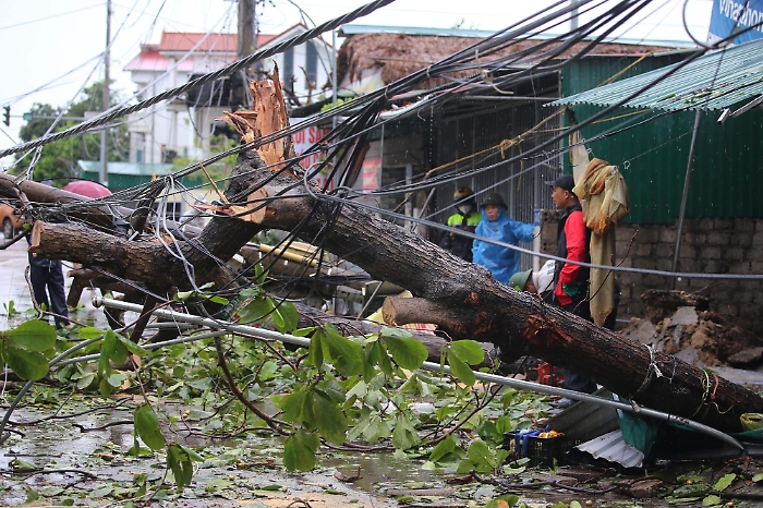 1756187102_137eaf908bdd21b2803c