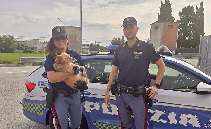 1756307702_021c5c2711bebba24fe1