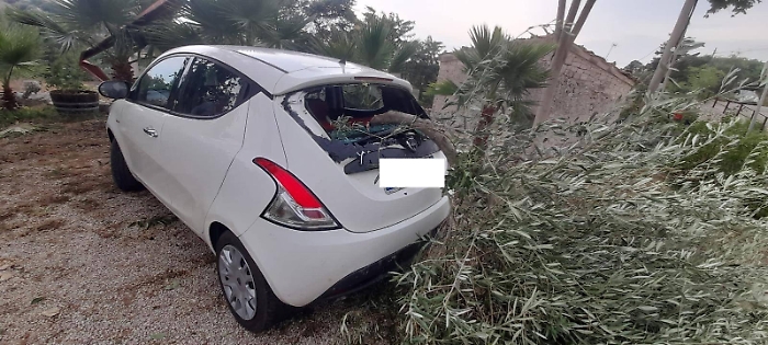 534724305_4102217900095094_3060944544585089911_n