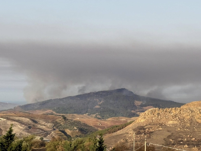 536281812_10234523721748745_8185419294184351040_n