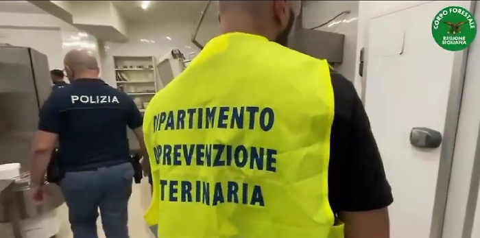 CONTROLLI DELLA TASK FORCE COORDINATA DALLA POLIZIA DI STATO