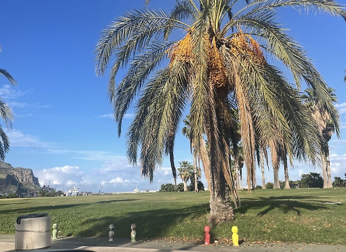 Foro Italico Palermo