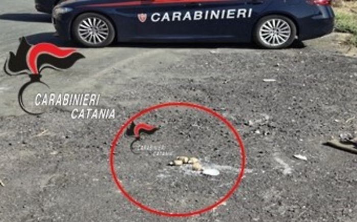 Foto Catania ordigni