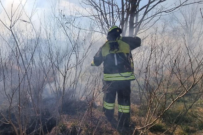 IMG_20250302_190850_409_copy_1296x864