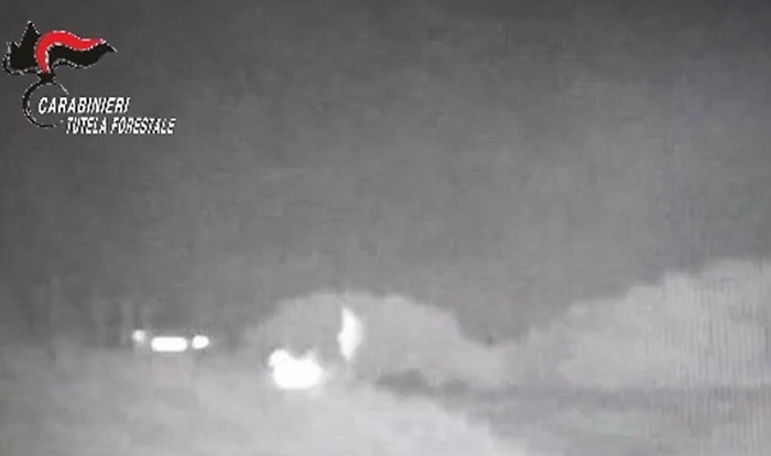 Immagine 2025-08-06 103520