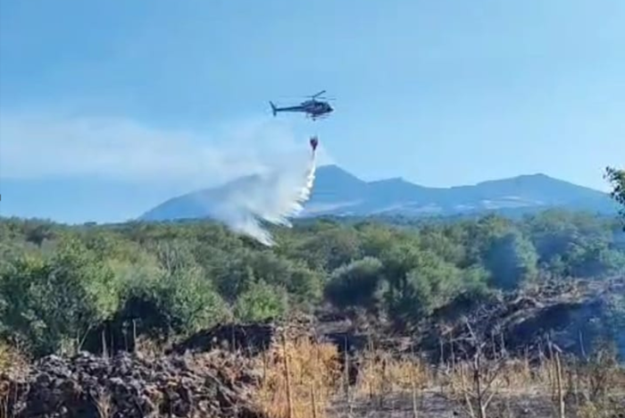 Immagine 2025-08-11 132539