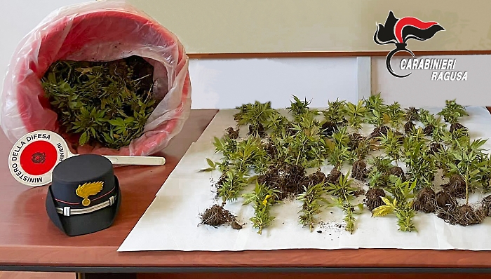 SEQUESTRO CANNABIS VITTORIA