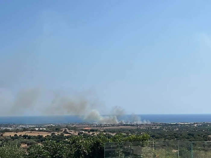 WhatsApp Image 2025-08-09 at 18.19.41