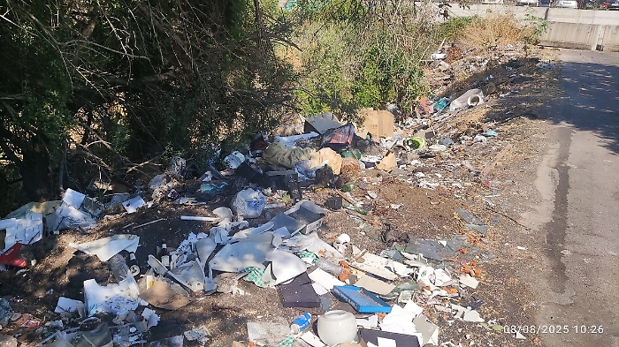 WhatsApp Image 2025-08-13 at 09.36.45