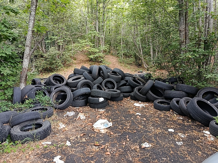 WhatsApp Image 2025-08-15 at 18.43.50 (1)