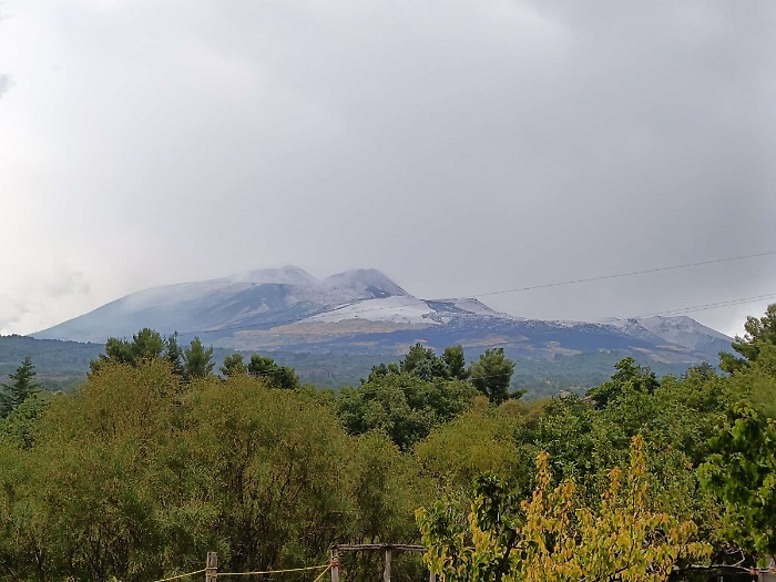 WhatsApp Image 2025-08-15 at 18.50.50