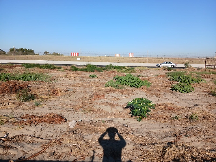 WhatsApp Image 2025-08-20 at 21.38.38