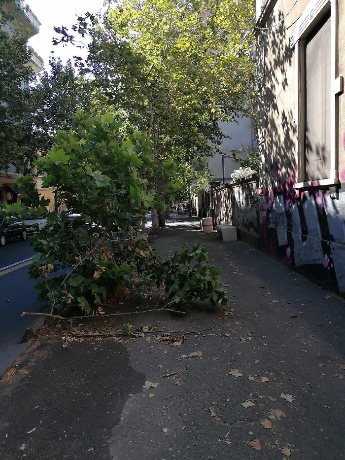 fce55fdc-fb38-42e8-be20-83e2ec7c8b12