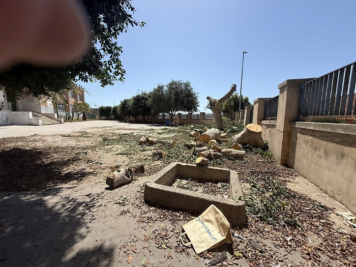 540412643_10214150621796191_8064092727312085937_n