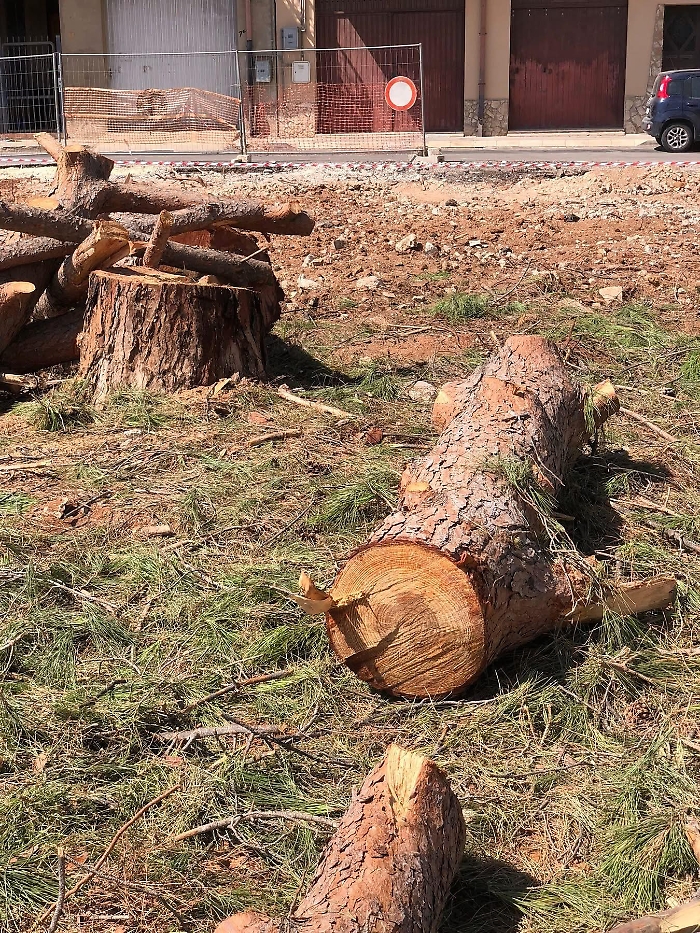 549565517_10234835512302619_6220334239858253667_n