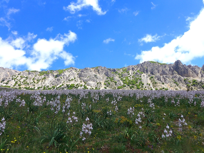 Anfiteatro-di-QuacellaSenza-firma-web