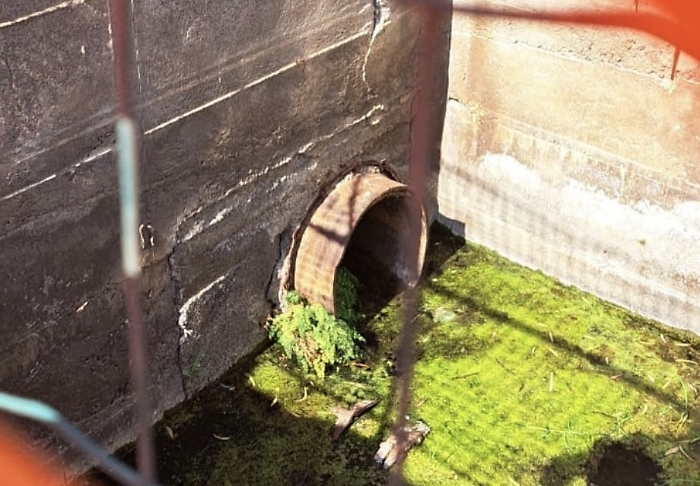 Immagine 2025-09-06 153733