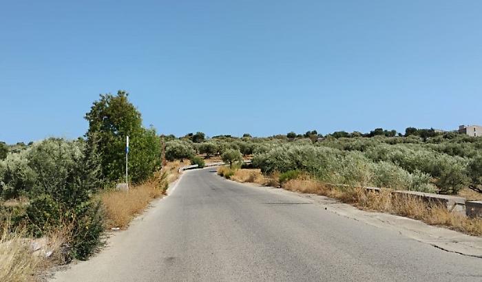 Immagine 2025-09-09 101217