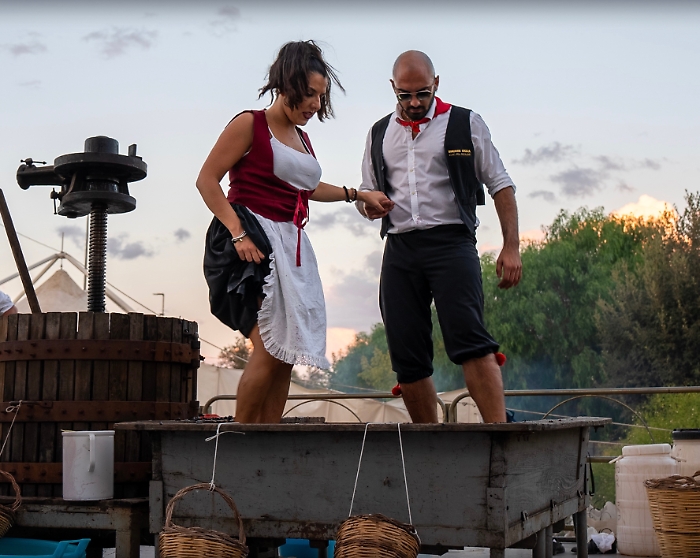 Torna la sagra della vendemmia a Pedalino