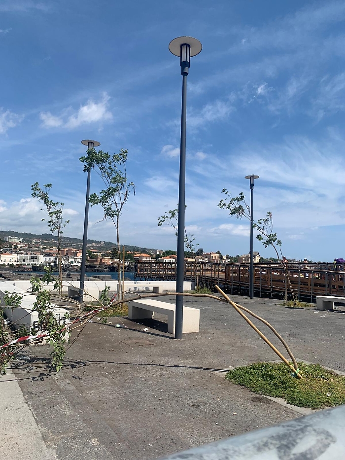 WhatsApp Image 2025-09-03 at 14.04.19