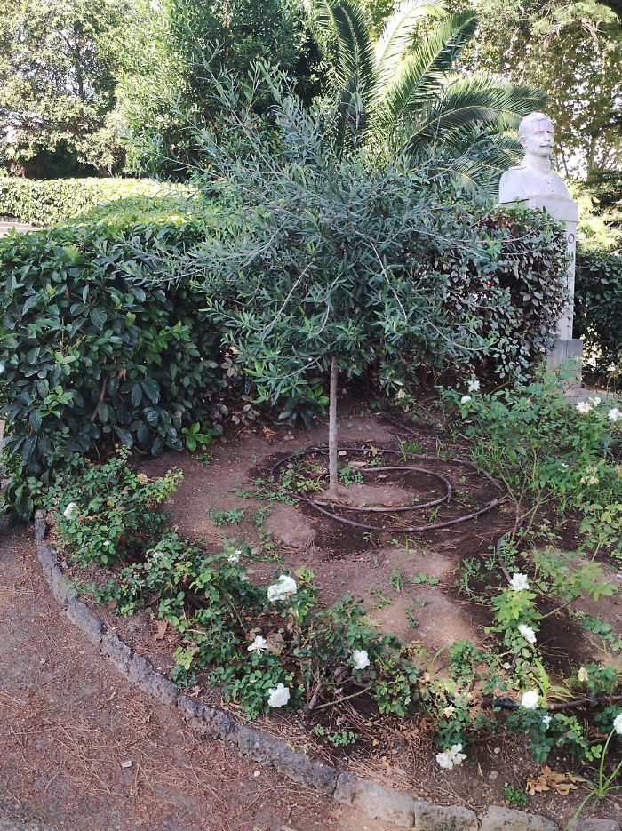 WhatsApp Image 2025-09-03 at 15.38.24