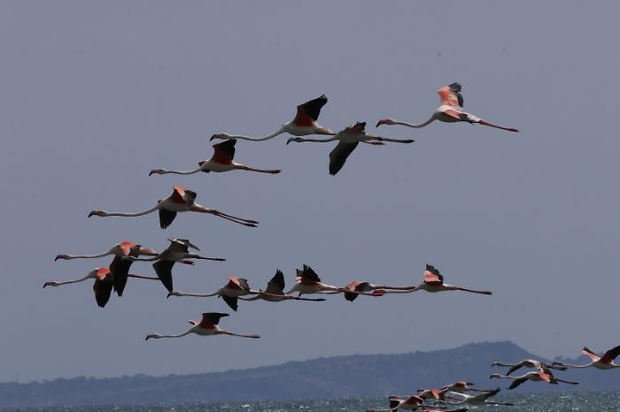 WhatsApp Image 2025-09-10 at 00.18.16