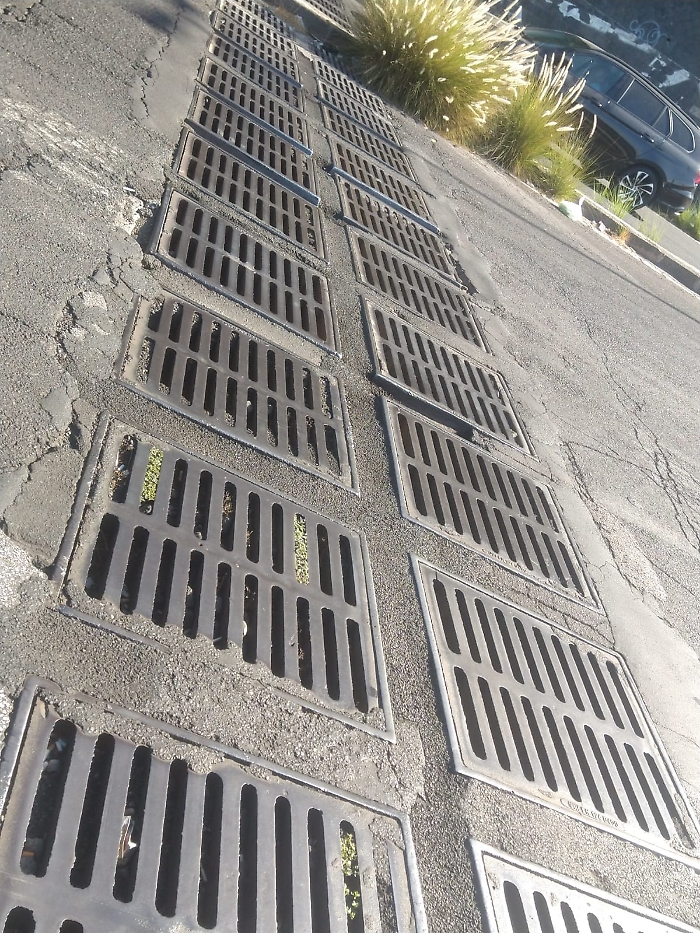 WhatsApp Image 2025-09-16 at 20.58.44