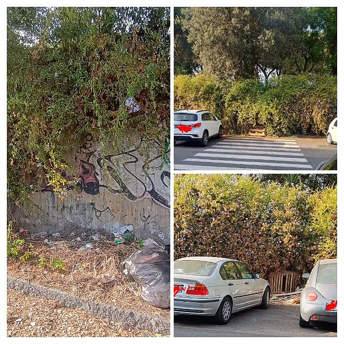 WhatsApp Image 2025-09-21 at 21.16.00