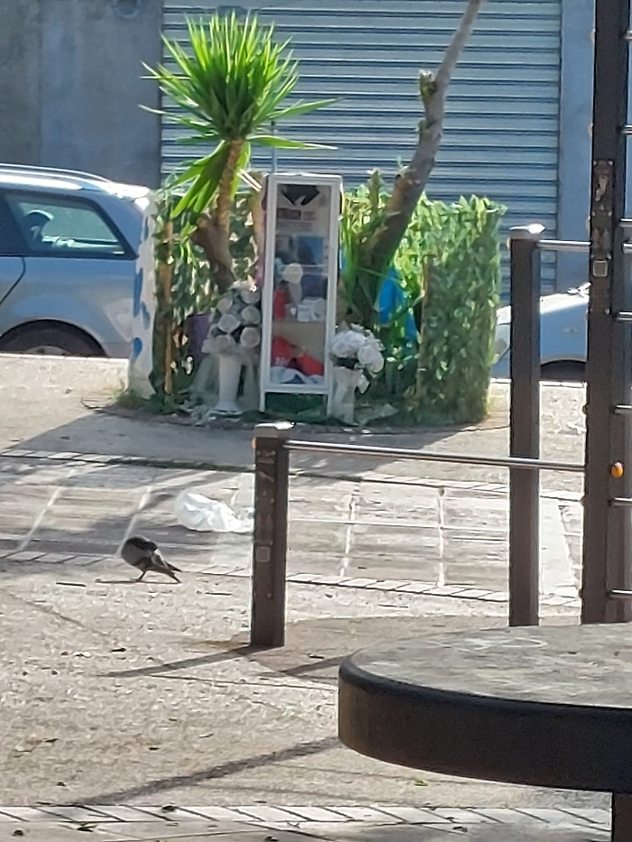 WhatsApp Image 2025-09-24 at 13.48.19