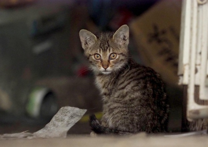 ae243c278341ba7307991f3335d7d79b