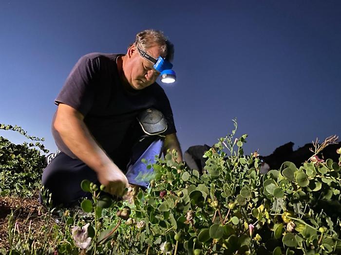 c166c3f484ae9e5ad187d3dc0609dbe9