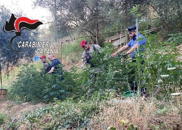 Caltagirone Carabinieri