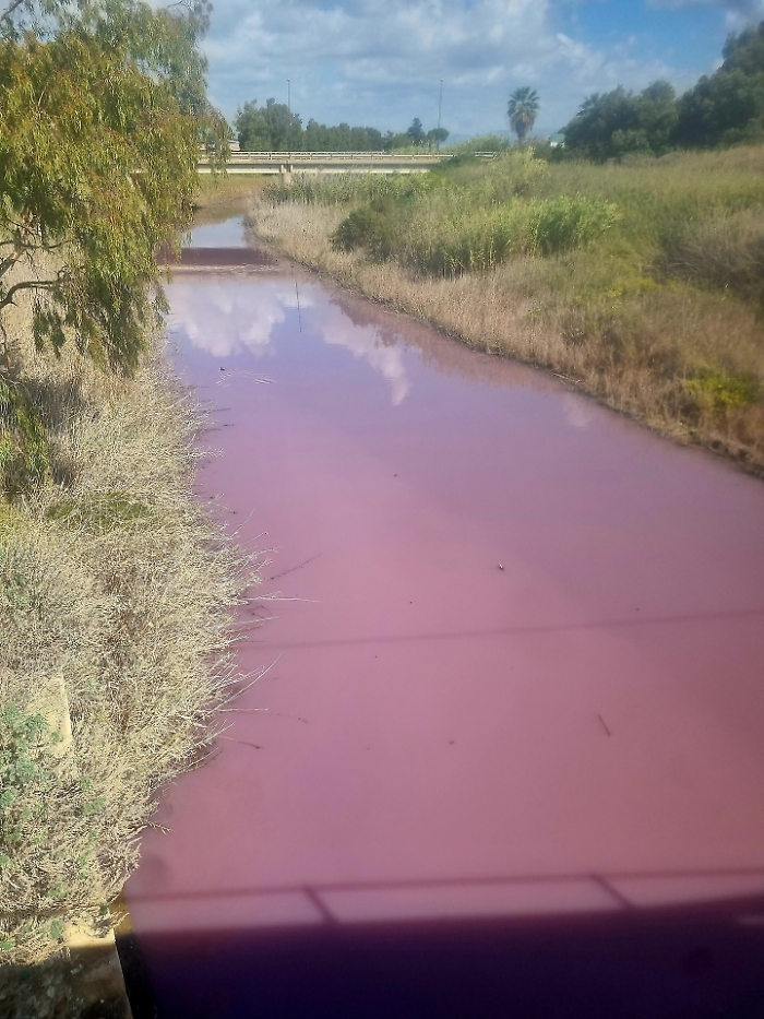 Il fiume Gela si colora di rosa: cattivo odore e allarme inquinamento