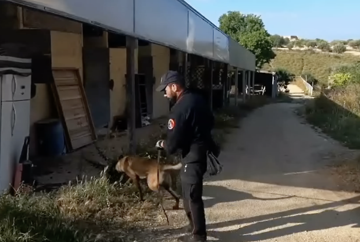 Tredici arresti in una maxioperazione antidroga tra Pozzallo e Ispica