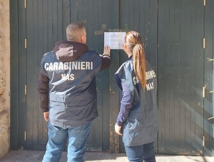 Blatte e altri insetti in cucina: i militari del Nas di Catania chiudono e sequestrano un noto fast food della provincia