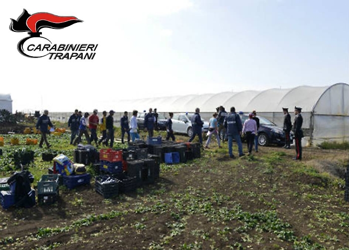 Stranieri "abusivi" nelle campagne di Salemi: quattro denunciati