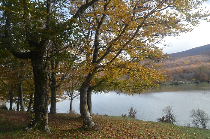 Dalla cucina ai vigneti: perch&eacute; la Sicilia &egrave; la meta enogastronomica pi&ugrave; ambita del 2025