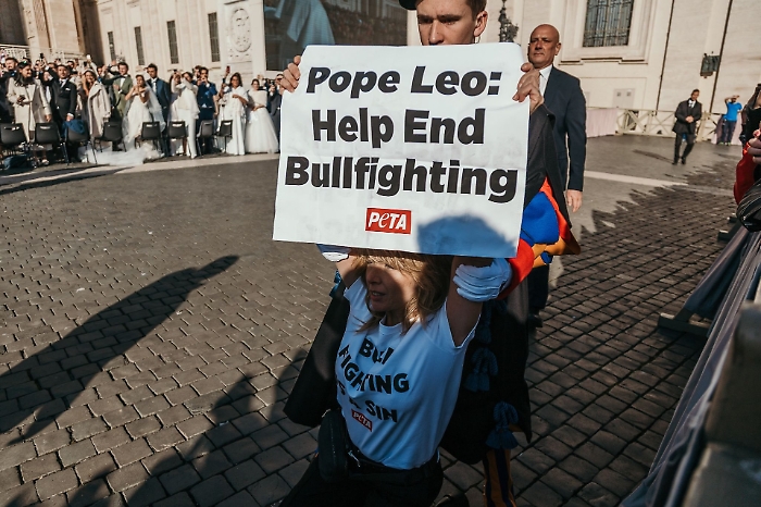 Dopo l'arresto a piazza San Pietro, Loredana Cannata scrive al Papa: «Sono stata bandita dal Vaticano ma...»