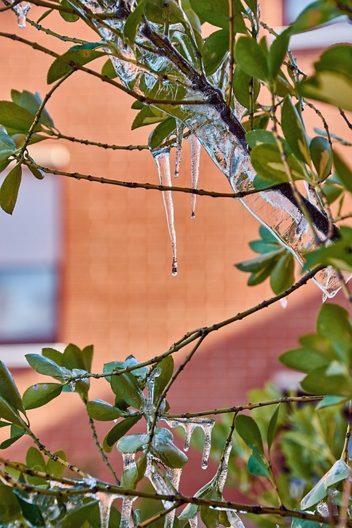 Arriva il freddo dalla Groenlandia: neve al nord e allerta arancione in parte della Sicilia